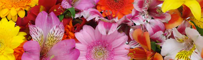 Phillip's Flowers & Gifts