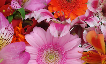 Phillip's Flowers & Gifts